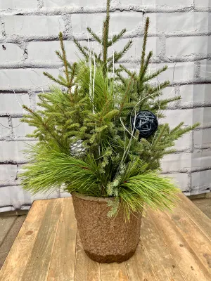 10" spruce top pot - winter wonderland