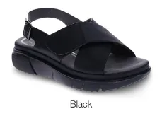 SCHOLL RUN