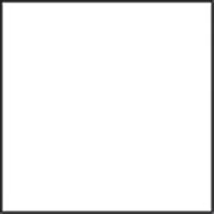 SECOND SKIN BY RD STYLE WOMEN'S ROXI SLEEVELESS CREWNECK BODYSUIT-  WHITE