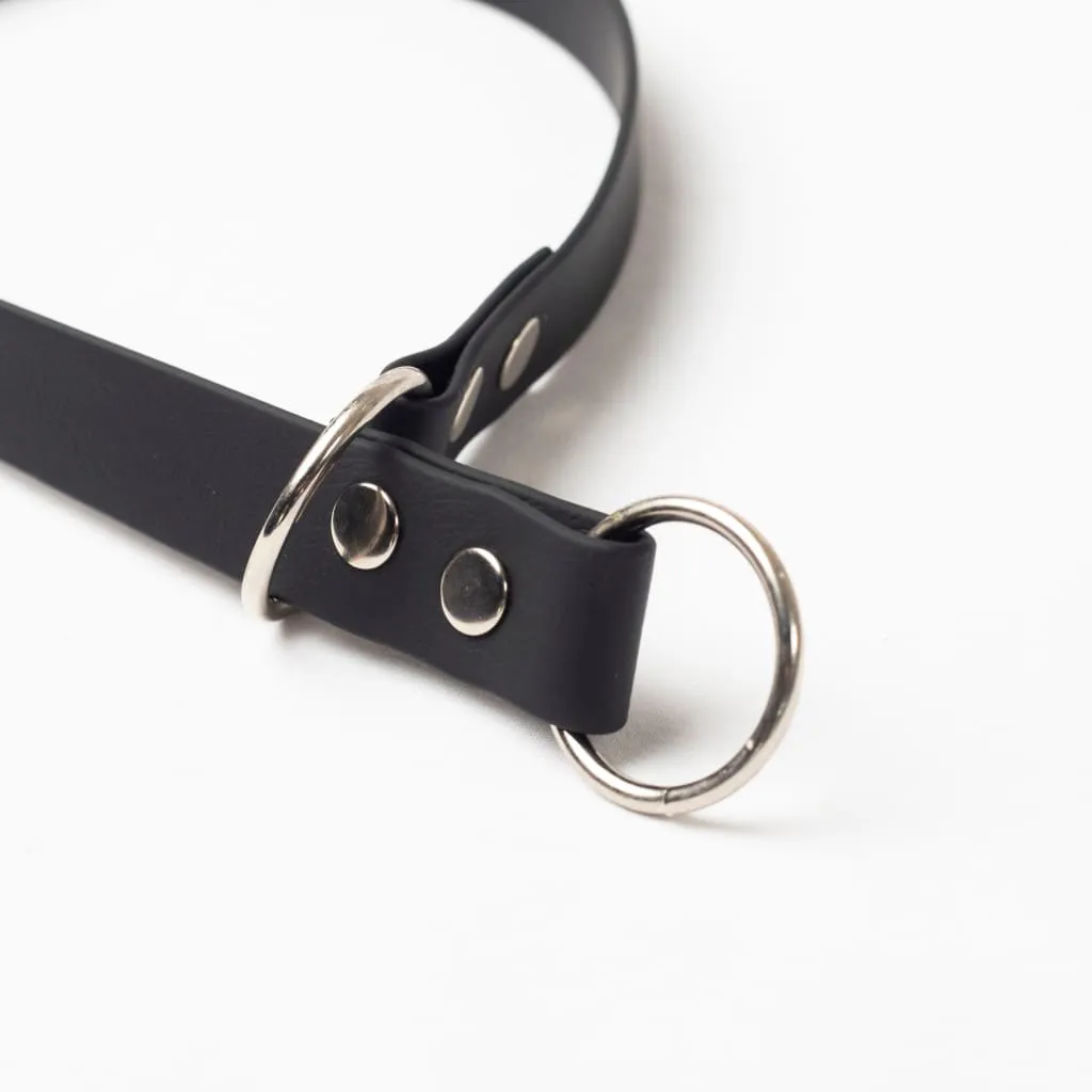 War Dog Slip Collar